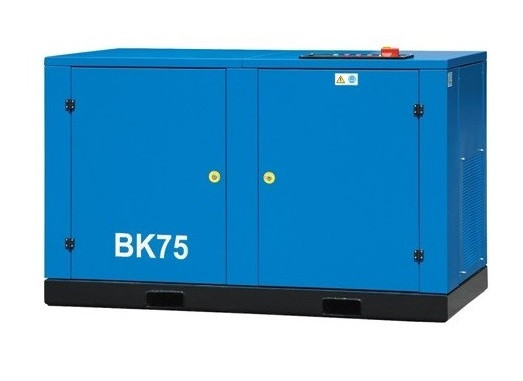 Винтовые компрессоры с ременным приводом серии ВКЕ BK75-8(10/13/15) Remeza Винтовые компрессоры с ременным приводом серии ВКЕ BK75-8(10/13/15) Remeza